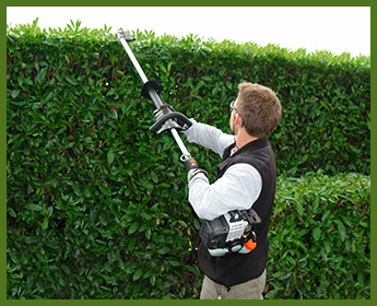 Man Cutting Bushes